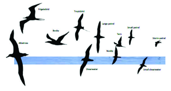 figure 140